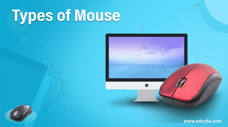 Types of Mouse