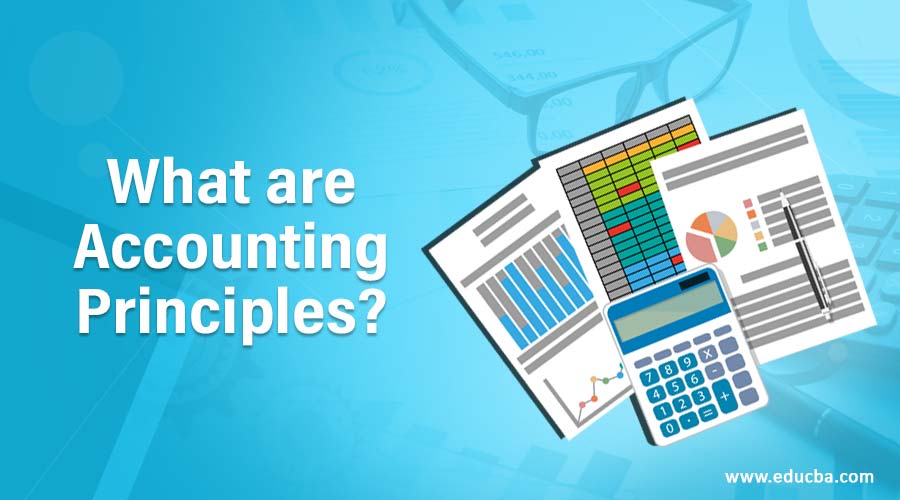 What are Accounting Principles?