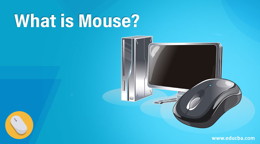 What is Mouse?