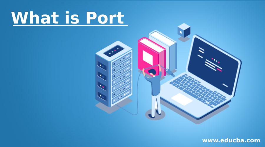 What is Port