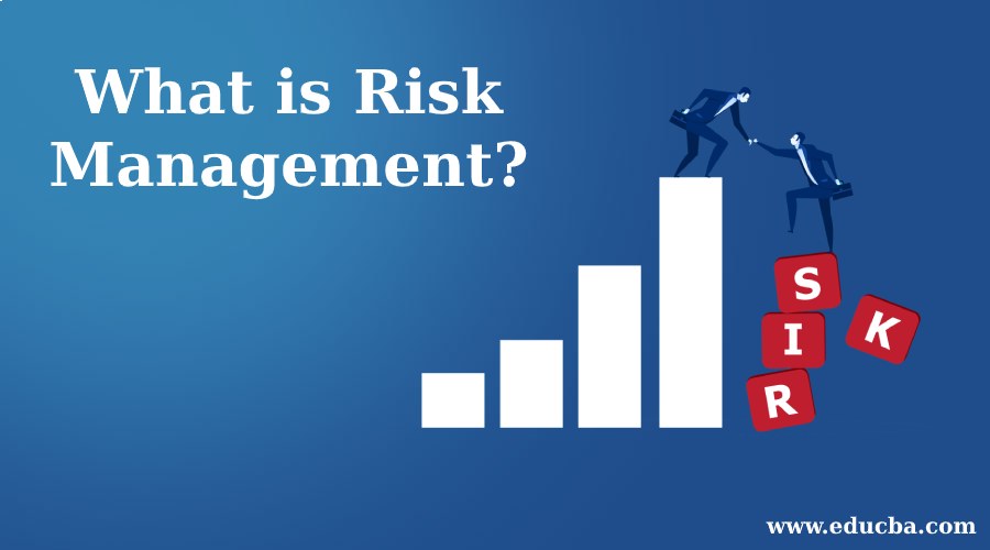 What is Risk Management?
