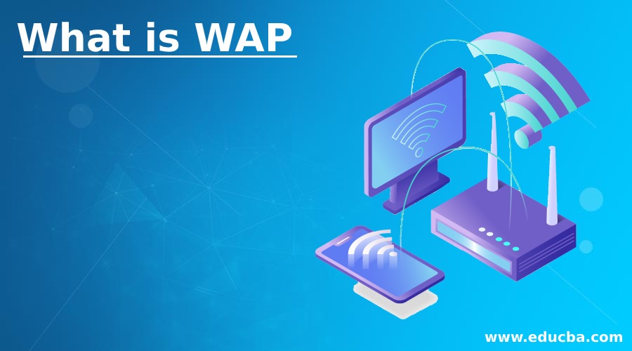 What is WAP