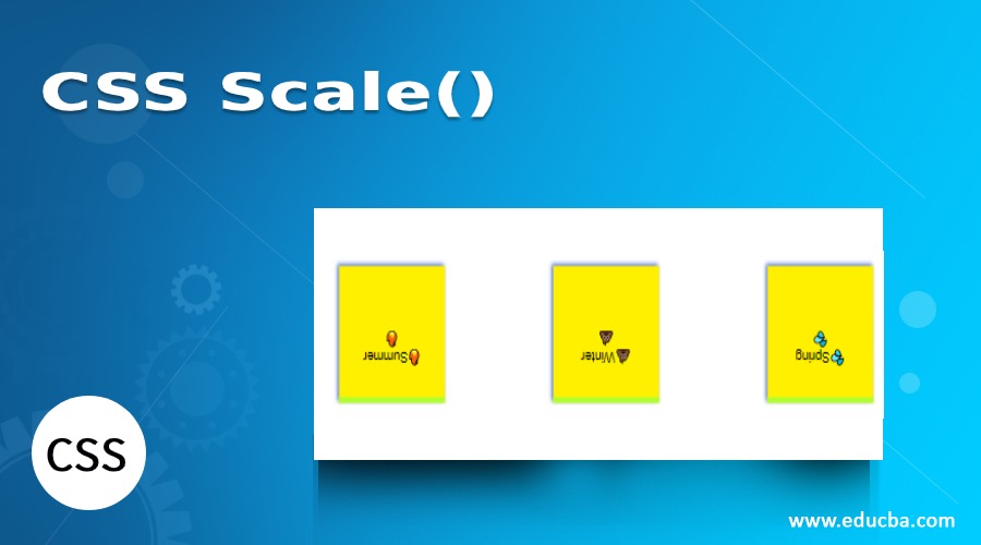 CSS Scale()
