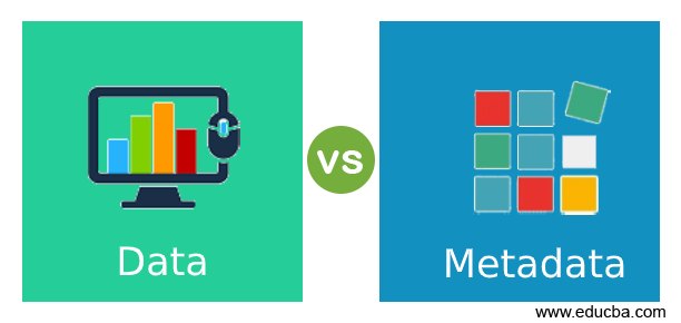 Data vs Metadata