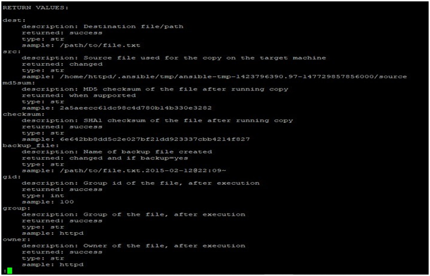 ansible-doc Example 1C