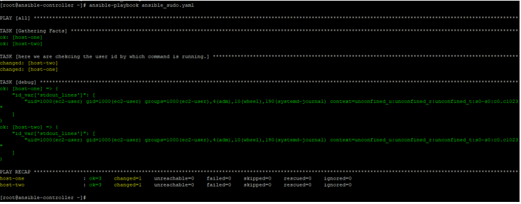 Ansible Plugins output 1