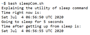 Bash Sleep Command output 1
