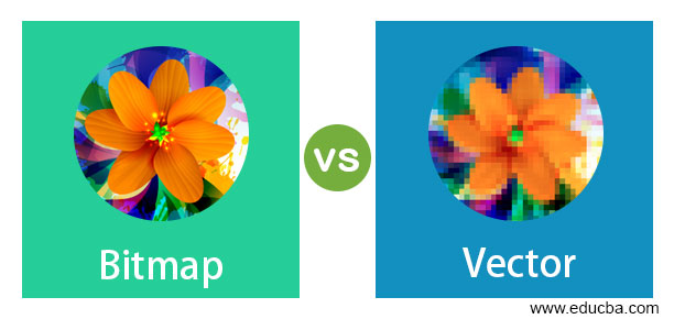 Bitmap vs Vector