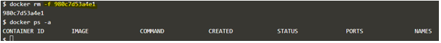 Docker Delete Container output 5