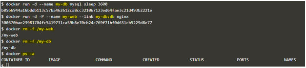 Docker Delete Container output 7