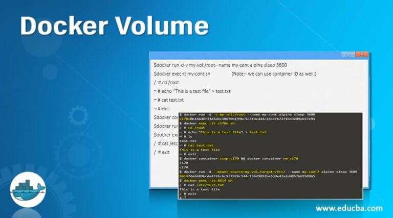 Docker Volume | How Does Volume Work in Docker? (Examples)
