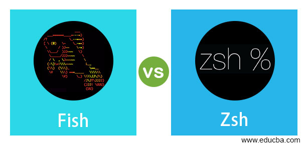 Fish vs Zsh