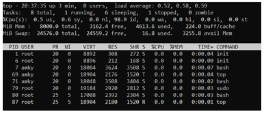 Linux Nice command output 2