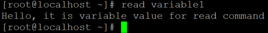 Linux Read Example 3
