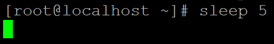 Linux Sleep Example 1