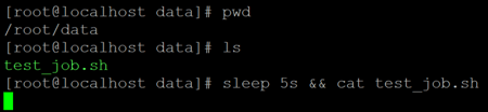 Linux Sleep Example 3a