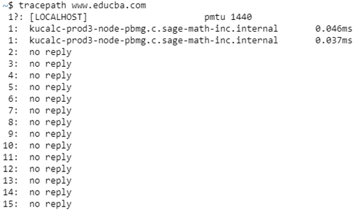 Linux Tracepath Example 2