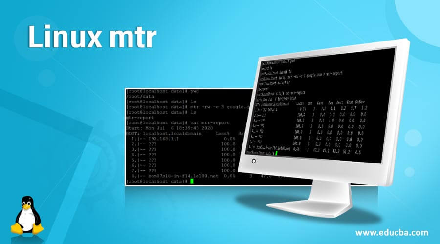 Linux mtr