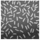 Matlab Image Resize - 3