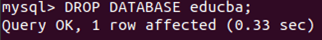 DROP DATABASE Example 8