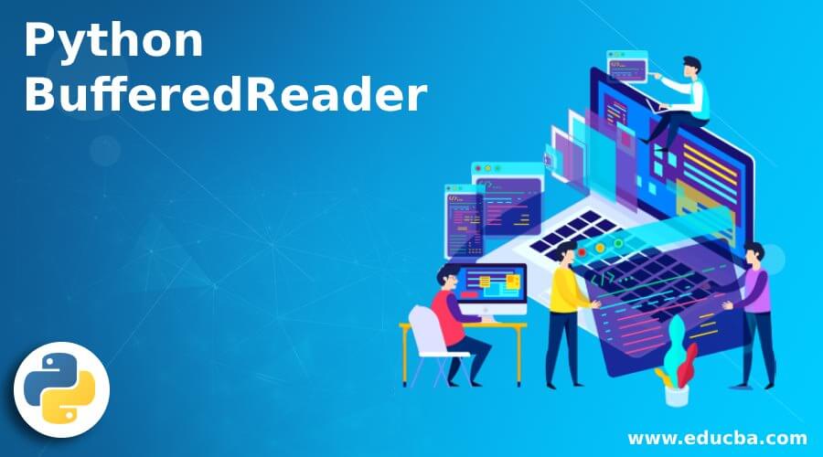 Python BufferedReader