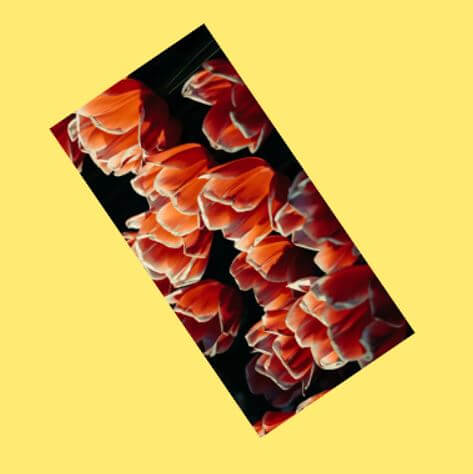 React Native Transform 2