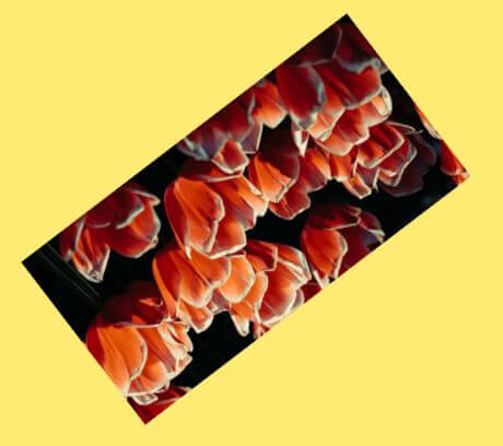 Rotating Imageview using Animation