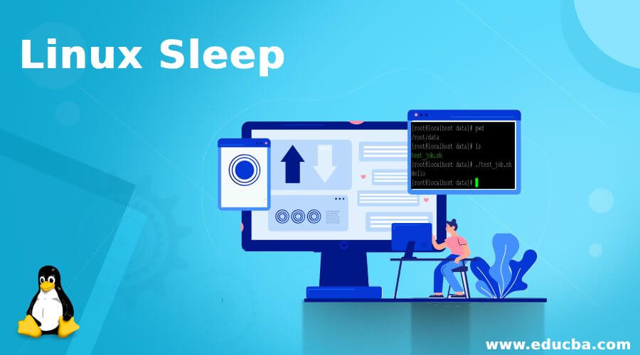 Linux Sleep