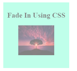 CSS fade-in animation output 3
