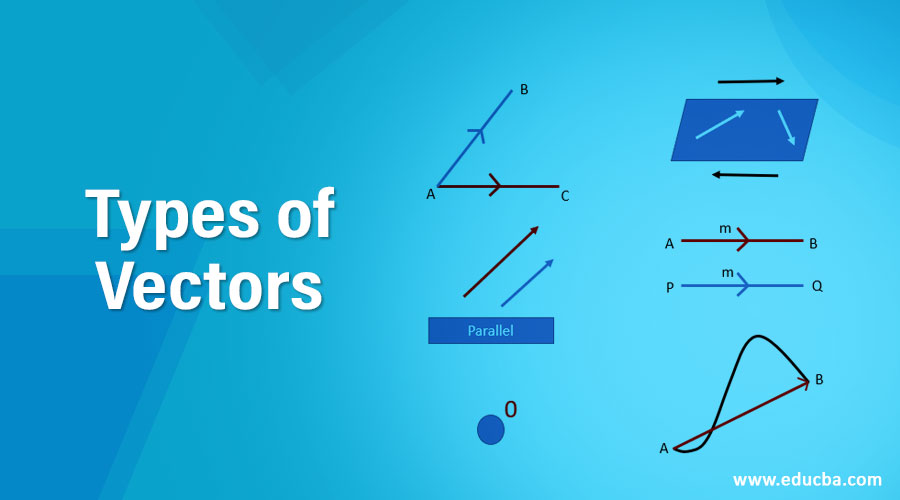 Types-of-Vectors