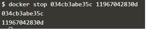Docker Stop Container-1.5