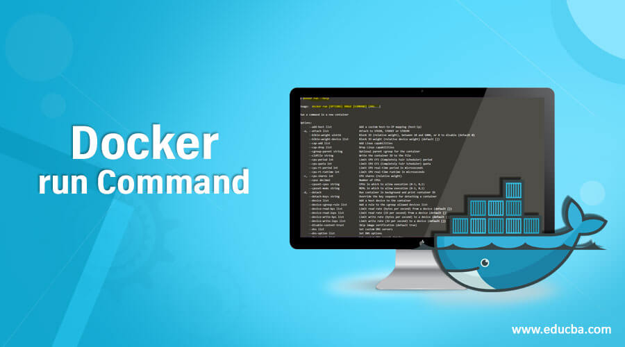 Docker run Command