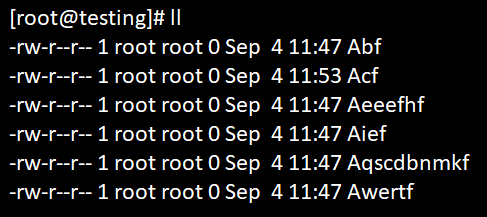 Linux wildcards output 1