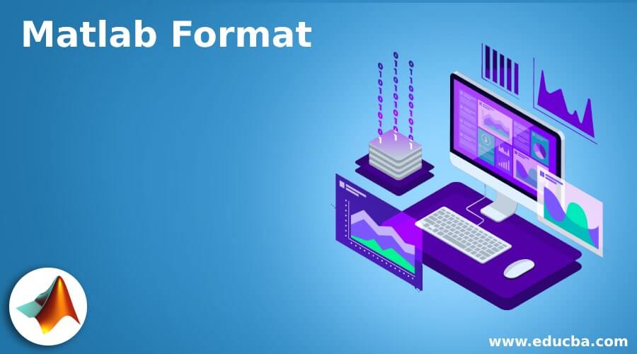 Matlab Format