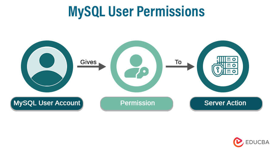 MySQL User Permissions
