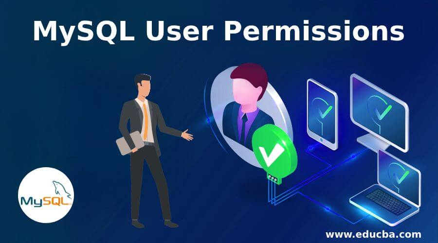 MySQL User Permissions