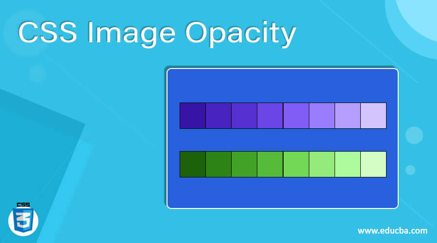CSS Image Opacity
