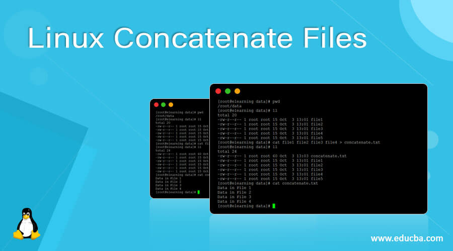 Linux Concatenate Files