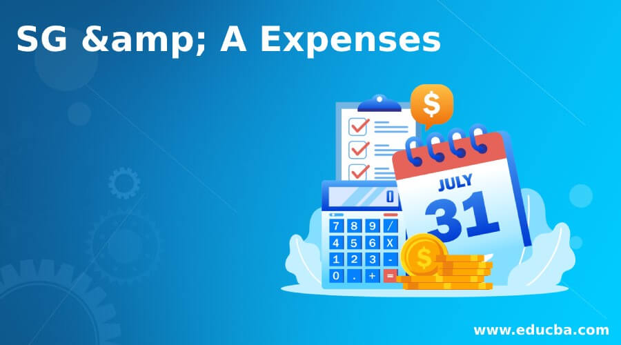 SG & A Expenses