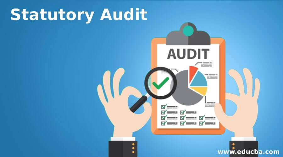 Statutory Audit