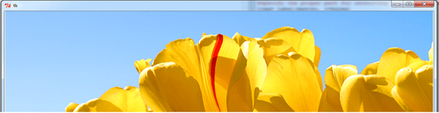 Tkinter background image output 1