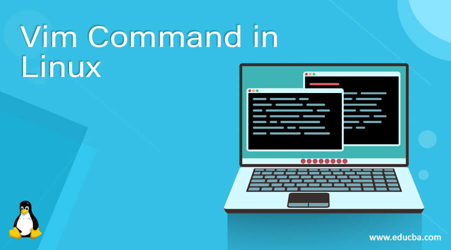 Vim Command in Linux