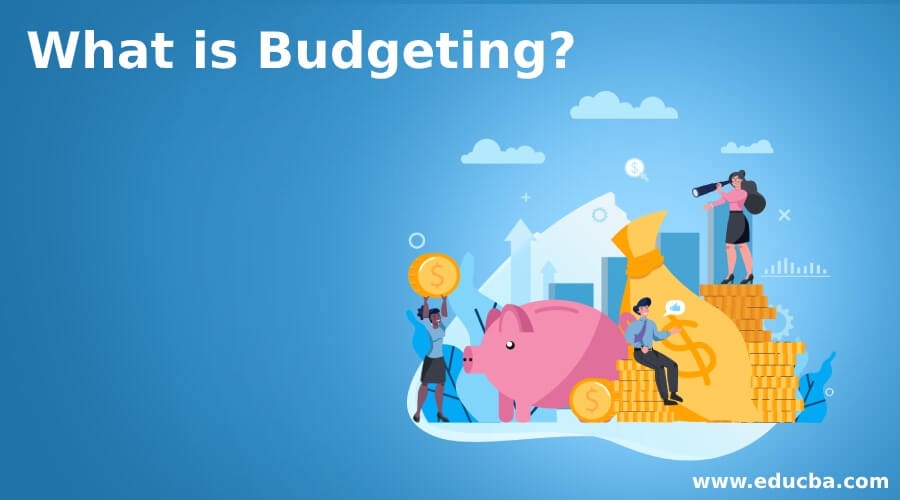 What is Budgeting
