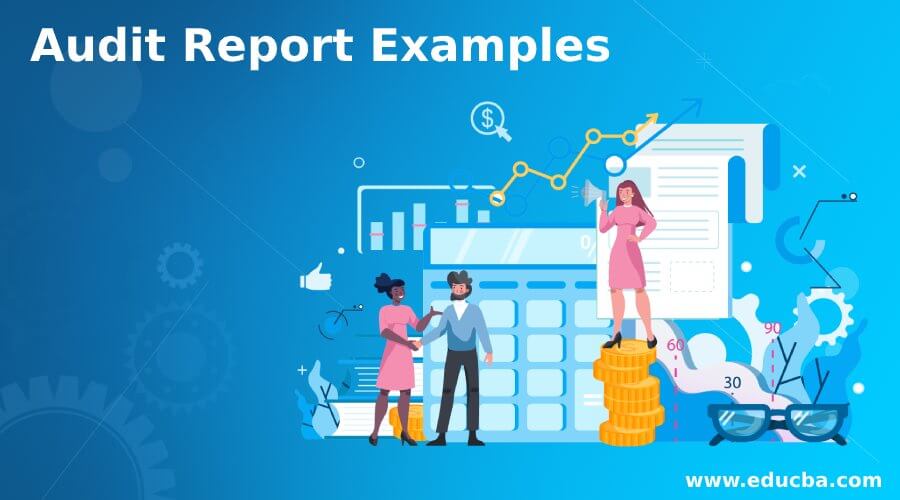 Audit Report Examples