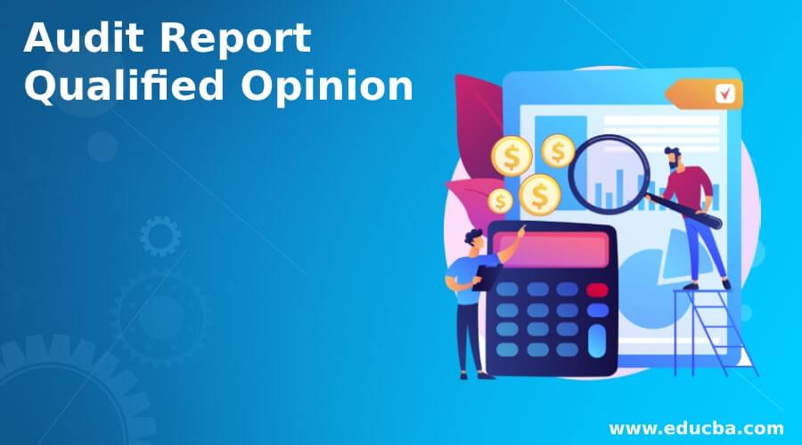 Audit Report Qualified Opinion