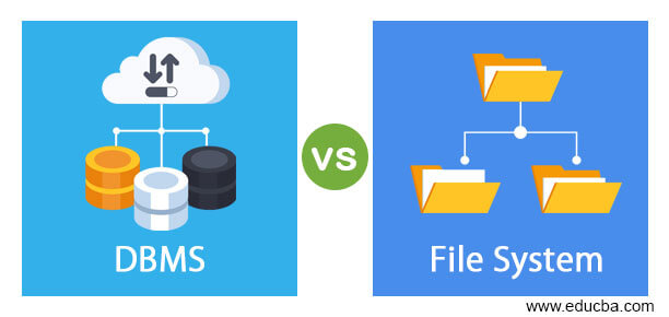 DBMS vs File System
