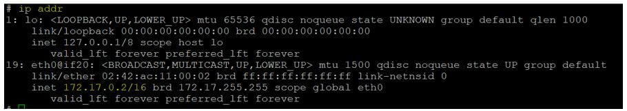 check the IP address of this container