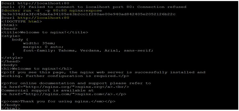 we are unable to access the nginx default page