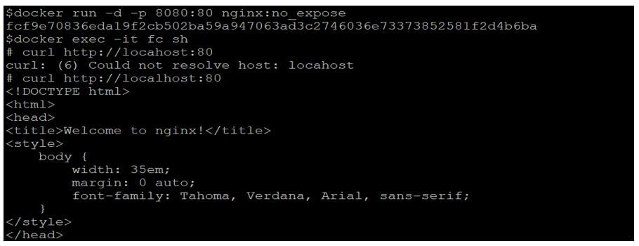 Docker EXPOSE 9