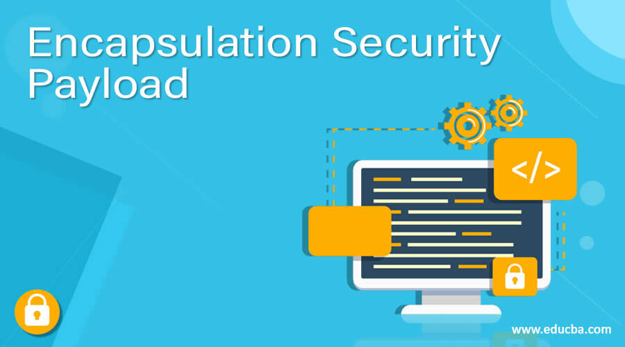 Encapsulation Security Payload